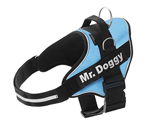 Personalisiertes Hundegeschirr - Reflektierendes und sicheres Hundegeschirr - Enthält 2 Namensschilder - Klein, Mittel und Groß - Qualität und Beständigkeit (Hellblau, XXS 1,5-3,5KG) von Mr. Doggy