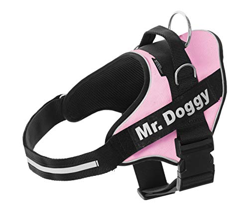 Personalisiertes Hundegeschirr - Reflektierendes und sicheres Hundegeschirr - Enthält 2 Namensschilder - Klein, Mittel und Groß - Qualität und Beständigkeit (L 20-35KG, Rose) von Mr. Doggy