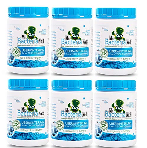 Mr.Bacteria No.8 Gartenteich Reiniger für optimale ÜBERWINTERUNG Ihres Teichklar, Teichpflege, Teichpflegemittel und Wasserklärer zu klar von grünem Wasser im Gartenteich (Winter) 500g - 6 Stücke von Mr.Bacteria