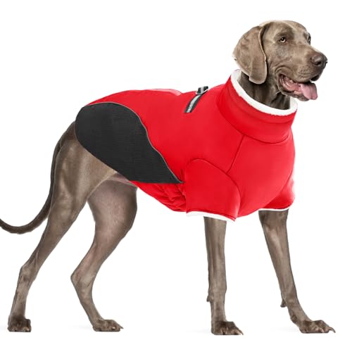 Mrcopetal Wintermantel - Hundejacke mit Fleecefutter, winddicht & reflektierend, Rollkragen-Schneeanzug mit Geschirr für kleine bis XL-Hunde, Rot von Mrcopetal