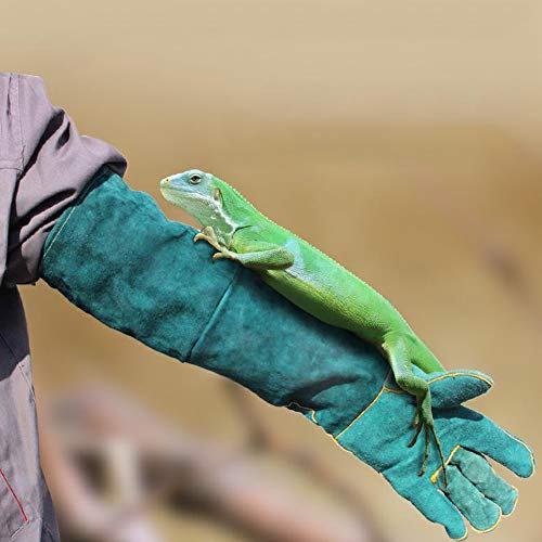 Mrisata Haustier-Handschuhe, Segeltuch, Blau, Haustier-Reptilien-Training, Anti-Biss-Verlängerungsschutz-Handschuhe Varanid-Schlangenhunde, Katzenblau (Blau) von Mrisata