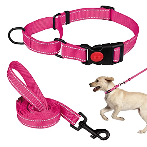 Martingale Hundehalsband und Leine, Martingale-Halsbänder für Hunde, reflektierend, Martingal-Halsband für große, mittelgroße und kleine Hunde (Hot Pink & M) von Mtliepte