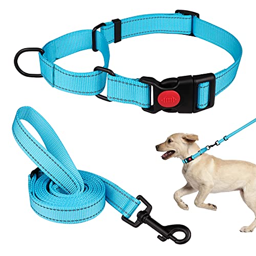 Martingale Hundehalsband und Leine, Martingale-Halsbänder für Hunde, reflektierendes Martingal-Halsband für kleine, mittelgroße und große Hunde (Himmelblau&S) von Mtliepte