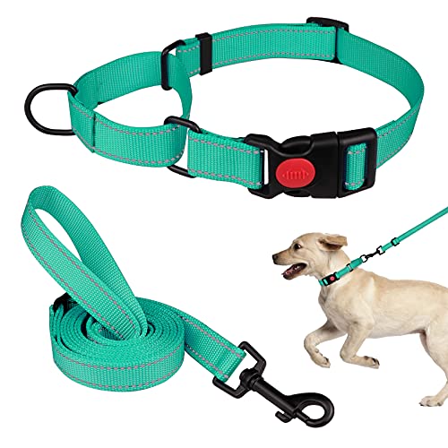 Martingale Hundehalsband und Leine, Martingale-Halsbänder für Hunde, reflektierendes Martingal-Halsband für kleine, mittelgroße und große Hunde (Minzgrün und M) von Mtliepte