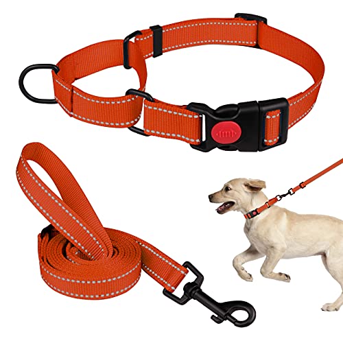 Martingale Hundehalsband und Leine, Martingale-Halsbänder für Hunde, reflektierendes Martingal-Halsband für kleine, mittelgroße und große Hunde (Orange und M) von Mtliepte