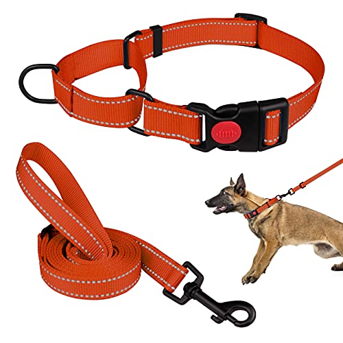 Martingale Hundehalsband und Leine, Martingale-Halsbänder für Hunde, reflektierendes Martingale-Halsband für kleine, mittelgroße und große Hunde (Orange und L) von Mtliepte