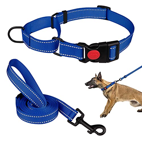 Martingale Hundehalsband und Leine, Set Martingale Halsbänder für Hunde, reflektierendes Martingalhalsband für kleine, mittelgroße und große Hunde (Blau und L) von Mtliepte