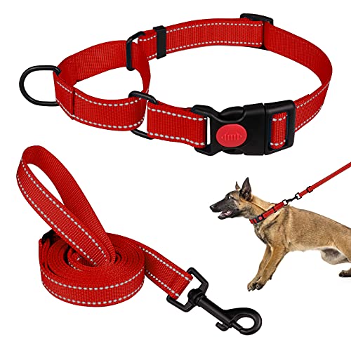 Martingale Hundehalsband und Leine, Set Martingale Halsbänder für Hunde, reflektierendes Martingalhalsband für kleine, mittelgroße und große Hunde (Rot & L) von Mtliepte