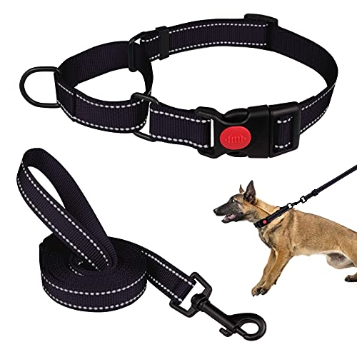 Martingale Hundehalsband und Leine, Set Martingale Halsbänder für Hunde, reflektierendes Martingalhalsband für kleine, mittelgroße und große Hunde (Schwarz und L) von Mtliepte