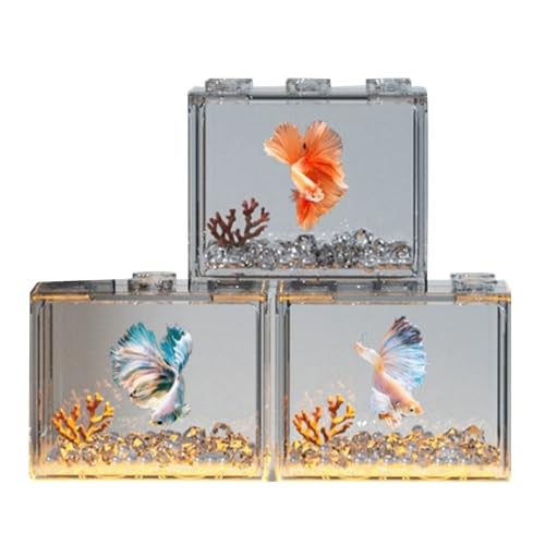 MuYaoPet 3 Packungen kleines Betta-Fischtank, stapelbar, Mini-Fischtank, rechteckig, transparent, Fischschale, Würfel-Tank für Meeresalgenbälle, Mini-Schildkrötenquallen (transparent, klein) von MuYaoPet