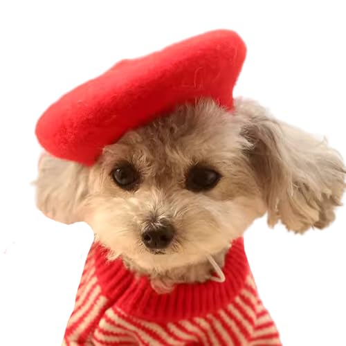 MuYaoPet Hund Katze Baskenmütze Wolle Stirnband Französische Künstler Beanie Barett Haustier Hund Weihnachten Kostüm Haarschmuck Foto Requisiten (Rot, Einheitsgröße) von MuYaoPet