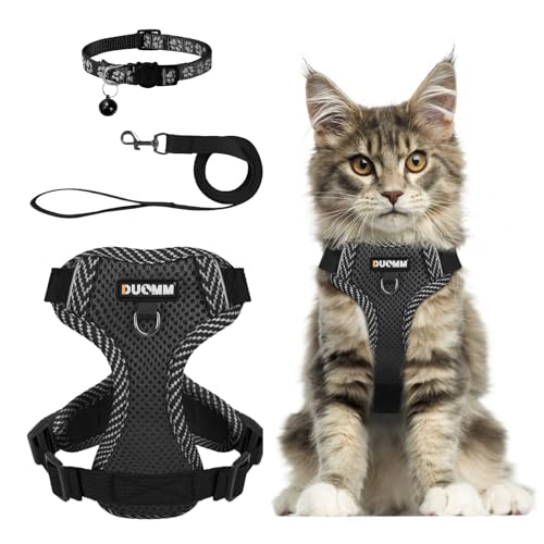 Muecleao Katzengeschirr mit Leine Ausbruchsicher, Katzenleine mit Geschirr für Katzen, Verstellbares Katzengeschirr Katzenhalsband mit Reflektierenden Streifen für Outdoor Training Gehen (Schwarz, M) von Muecleao