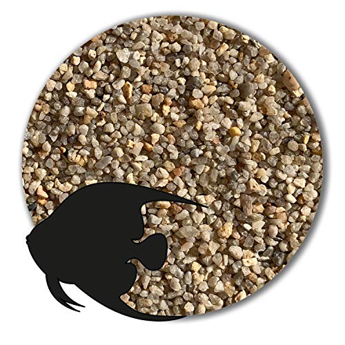 Anbobo Müller GmbH 10 kg beige Aquariumsand Aquariumkies Natur feuergetrocknet und gerundet (1,6-2,5 mm) von Anbobo