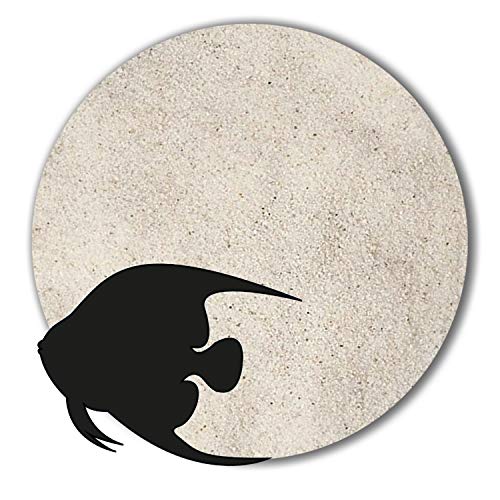 Anbobo Aquarium Sand/Aquarium Kies 25 KG - 0,1-0,4mm naturweiß von Anbobo