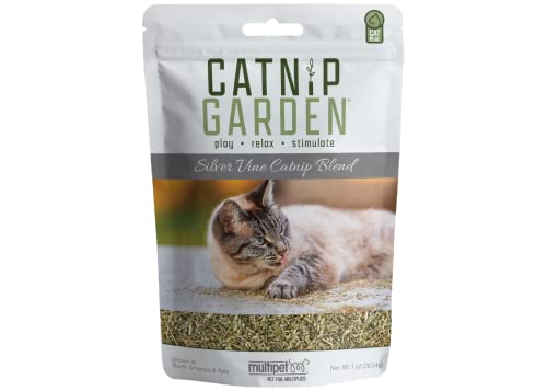 1OZ Silver Vine Catnip -20535 von Multi Pet