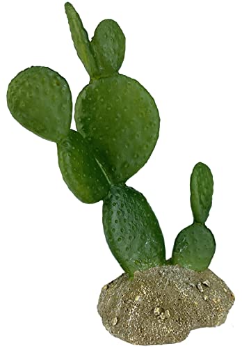 Komodo Prickley Birnen-Kaktus-Reptilien-Dekoration, natürlich aussehende künstliche Pflanze, Terrarium-Ornament und Lebensraum-Dekoration, leicht zu reinigen und zu pflegen, 16 cm hoch von Multi Pet