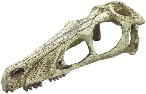 Multipet Komodo Raptor Skull - XL von Multi Pet