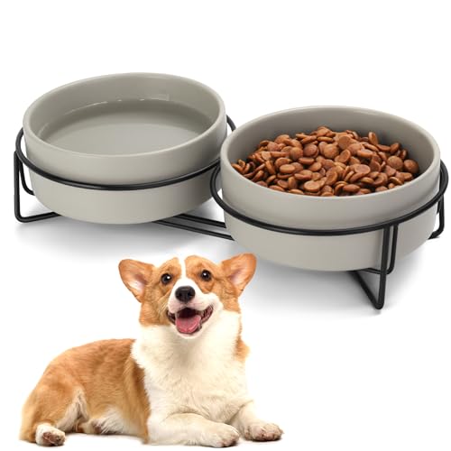 Keramik-Napf-Set für Hunde und Katzen, mit Ständer, 1,7 Tassen, Hundefutter und Wassernapf, geeignet für kleine und mittelgroße Haustiere (383 ml, Dunkelgrau) von MultiOutools