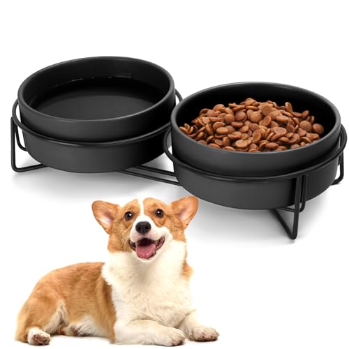 Keramiknapf für Hunde und Katzen, mit Ständer, 1,7 Tassen, Hundefutter und Wassernapf, geeignet für kleine und mittelgroße Haustiere (382.7 g, Schwarz) von MultiOutools