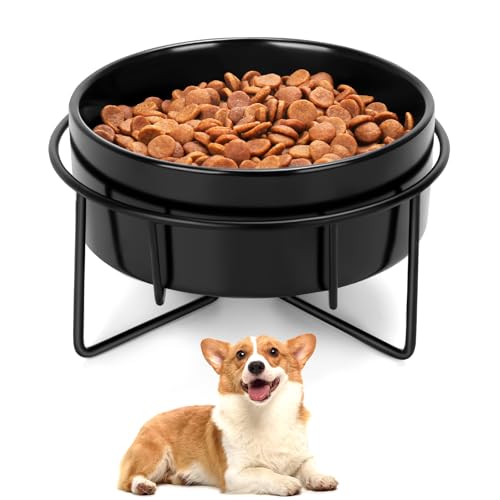 Keramiknapf für Hunde und Katzen, mit Ständer, 1,7 Tassen, Hundefutter und Wassernapf, geeignet für kleine und mittelgroße Haustiere (382.7 g Single Black) von MultiOutools