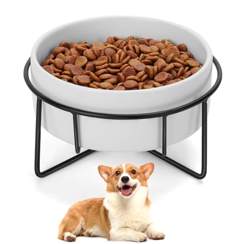 Keramiknapf für Hunde und Katzen, mit Ständer, 1,7 Tassen, Hundefutter und Wassernapf, geeignet für kleine und mittelgroße Haustiere (382.7 g Single White) von MultiOutools