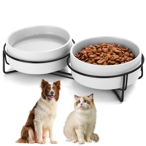 Keramiknapf für Hunde und Katzen, mit Ständer, 3,6 Tassen, Hundefutter und Wassernapf, geeignet für kleine und mittelgroße Haustiere (813.6 g Weiß) von MultiOutools