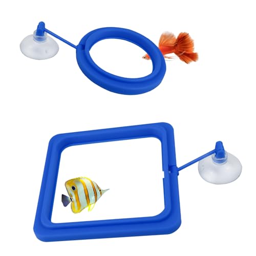 MultiValue Fish Feeder Ring, Fish Feeder Aquarium Ring Praktischer Schwimmender Futterring Quadratischer Runder Kunststoff Futterring für Guppy Goldfische Fische Kleine Fische (Blau) von MultiValue