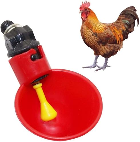 5PCS Automatic Chicken Bird Drinkers Wassertrinkspender Cups Schalen für Bird Quail Pigeon Chicken Hen(# 2) von Mumusuki