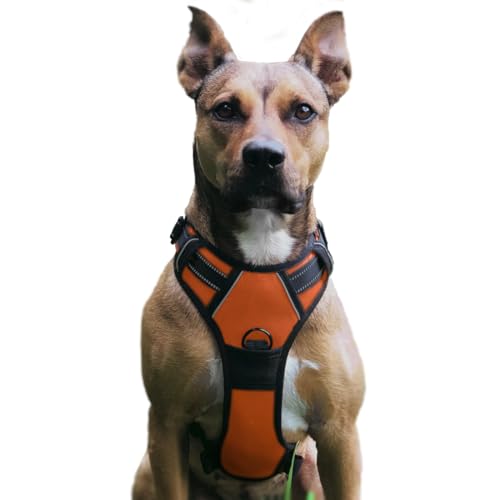 No Pull Hundegeschirr, Verstellbar Atmungsaktiv Reflektierend Weich Gepolstert Hunde Geschirr, Brustgeschirr für Hunde (Orange, XL) von Musonic