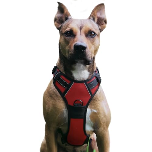 No Pull Hundegeschirr, Verstellbar Atmungsaktiv Reflektierend Weich Gepolstert Hunde Geschirr, Brustgeschirr für Hunde(Rot, M) von Musonic