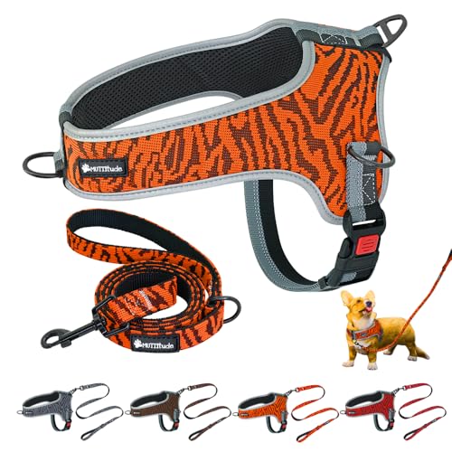 Muttitude No-Pull Trainingshundegeschirr – Frontclip Hundegeschirr mit Leine – Braun, Rot, Orange und Schwarz für Hunde von 10 bis 25 kg (L, Orange) von Muttitude