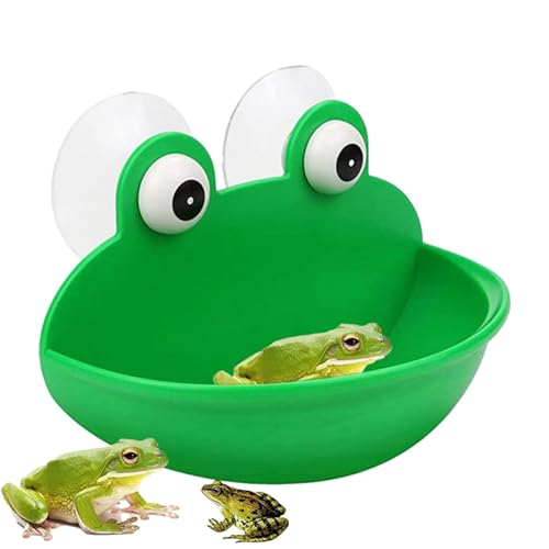 Muuzebsy Frosch Habitat | Niedliches Frosch-Terrarium-Dekoration, Aquarium-Dekoration mit Saugnäpfen – Bezaubernder Froschschalenhalter für Aquarium, /Aufbewahrung von kleinen Gegenständen von Muuzebsy