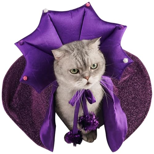 Muuzebsy Haustierkostüme für Hunde – Hautfreundlicher Katzenumhang, Hexenhut, Kostüme, Halloween, Hundekleidung, bequemes Katzen-Zauberer-Outfit, Hexenkostüm für kleine, mittelgroße Katzen und Hunde von Muuzebsy