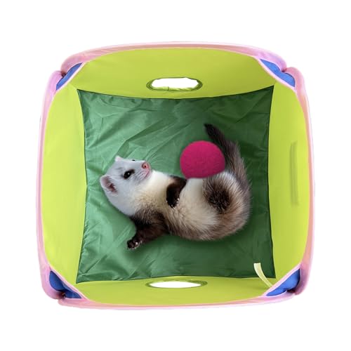 Muuzebsy Katzentunnel-Spielzeug – interaktives Katzenspiedelloch für drinnen und draußen, mehrkanalig, wasserdicht, gelangweiltes Haustierspielzeug für Familien, Freunde, Liebhaber, verbessert den Muuzebsy Katzentunnel-Spielzeug – interaktives Katzenspiedelloch für drinnen und draußen, mehrkanalig, wasserdicht, gelangweiltes Haustierspielzeug für Familien, Freunde, Liebhaber, verbessert den von Muuzebsy