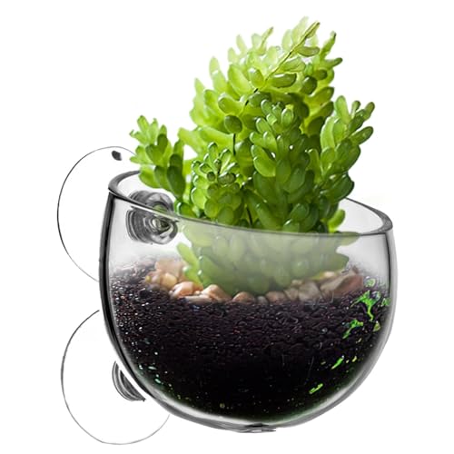 Muuzebsy Saugnapf, Aquarium-Pflanztöpfe mit Saugnäpfen, Wasserpflanzgefäß, Aquarium-Becher, lebende Pflanzgefäß, rote Garnelen, lebende Pflanzen, Aquarium-Halter von Muuzebsy