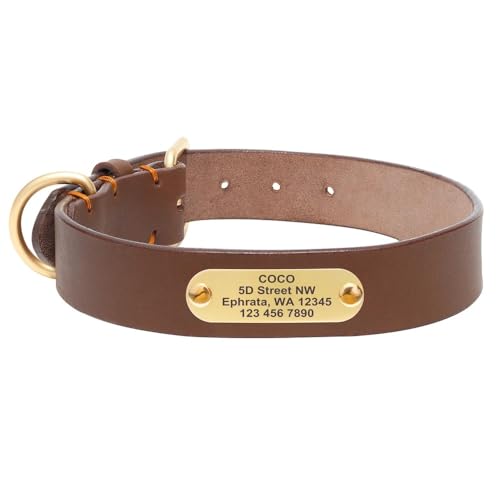 Benutzerdefiniertes Hundehalsband Langlebige,Personalisierte Hundehalsbänder Mit Gravur Für Kleine,Mittelgroße Und Große Hunde,Dunkelbraun,2XL von Muziner