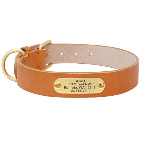 Benutzerdefiniertes Hundehalsband Langlebige,Personalisierte Hundehalsbänder Mit Gravur Für Kleine,Mittelgroße Und Große Hunde,Hellbraun,XL von Muziner