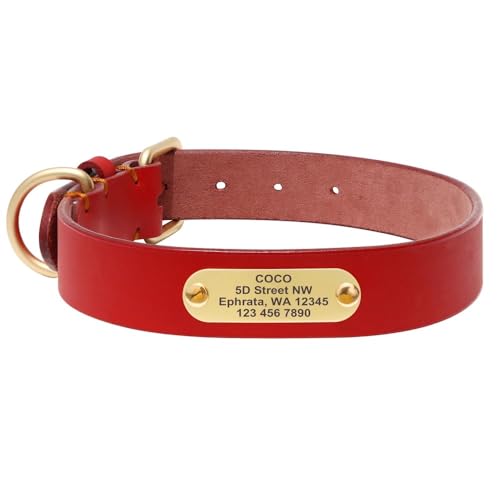 Benutzerdefiniertes Hundehalsband Langlebige,Personalisierte Hundehalsbänder Mit Gravur Für Kleine,Mittelgroße Und Große Hunde,Rot,XL von Muziner