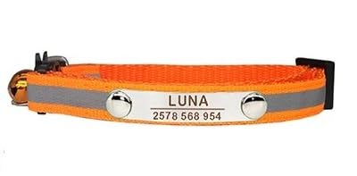 Benutzerdefiniertes Reflektierendes Katzenhalsband,Personalisierte ID,Verstellbare Sicherheitsschnalle Mit Glöckchen,Nylon-Welpen-Kätzchen-Halskette,C-Orange,7-12 Zoll von Muziner