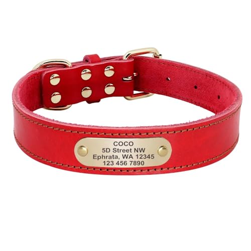 Großes Hundehalsband,Personalisierbar,Mittelgroße Und Große Hundehalsbänder,Individuelle Haustierhalsbänder Für Hunde,Mit Namensgravur,Red,L von Muziner