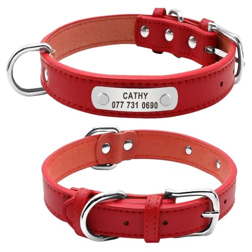 Hundehalsband,Langlebig,Gepolstert,Personalisierbar,Für Kleine,Mittelgroße Und Große Hunde,Katzen,Rot,Schwarz,Braun,Rot,M von Muziner