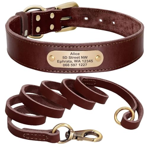 Hundehalsband-Leine-Set,Personalisierte Hundehalsbänder,Leinen,Individuell Für Kleine,Mittelgroße Und Große Hunde,Pitbull,braune Kragenleine,L von Muziner