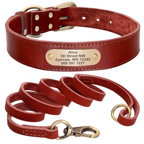 Hundehalsband-Leine-Set,Personalisierte Hundehalsbänder,Leinen,Individuell Für Kleine,Mittelgroße Und Große Hunde,Pitbull,rote Kragenleine,L von Muziner