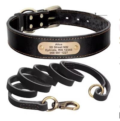 Hundehalsband-Set,Personalisierbar,Hundehalsbänder,Leinen,Individuell Für Kleine,Mittelgroße Und Große Hunde,Pitbull,Black,L von Muziner