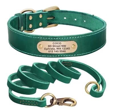 Hundehalsband-Set,Personalisierbar,Hundehalsbänder,Leinen,Individuell Für Kleine,Mittelgroße Und Große Hunde,Pitbull,Green,L von Muziner