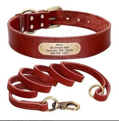 Hundehalsband-Set,Personalisierbar,Hundehalsbänder,Leinen,Individuell Für Kleine,Mittelgroße Und Große Hunde,Pitbull,Rot,L von Muziner