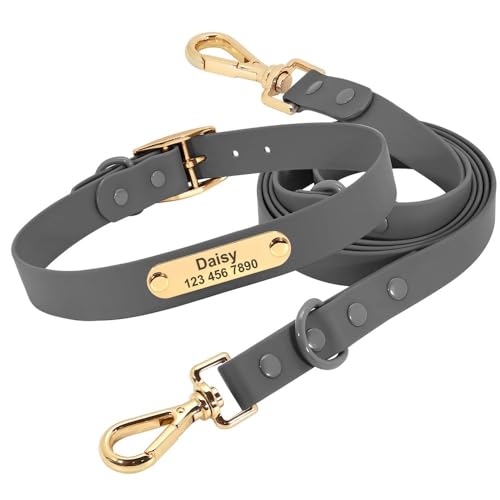 Maßgeschneidertes Hundehalsband-Leine-Set,wasserdichte Halskette Für Hunde Und Katzen,Personalisierte Haustier-ID-Halsbänder Mit Führleine Für Kleine Große Hunde,Gray Set,L von Muziner