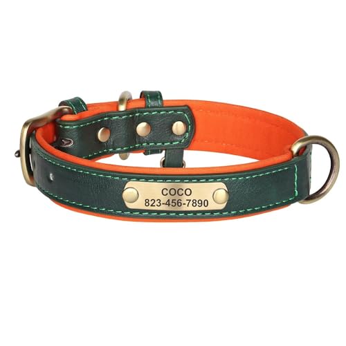 Personalisierte Hundehalsbandleine,Individuelle Hundemarkenhalsbänder,Namensschild Für Kleine,Mittelgroße Und Große Hunde,Pitbull,Green,XL von Muziner