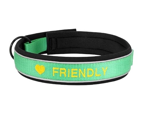 Personalisierte Nylon-Hundehalsband-ID-Namenszubehör Reflektierende Haustier-Welpenhalsbänder Für Kleine,Mittelgroße Und Große Hunde Perros,Grün,XL von Muziner