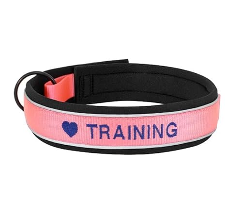 Personalisierte Nylon-Hundehalsband-ID-Namenszubehör Reflektierende Haustier-Welpenhalsbänder Für Kleine,Mittelgroße Und Große Hunde Perros,Pink,XL von Muziner